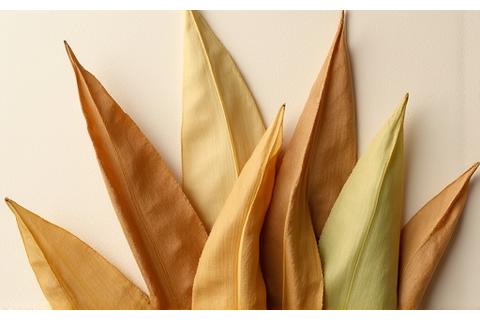 Pineapple leaves being processed into Piñatex material